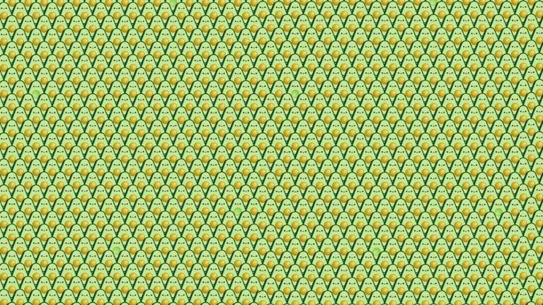 Solo para expertos: tenés un minuto para encontrar las ocho paltas sin “semilla”