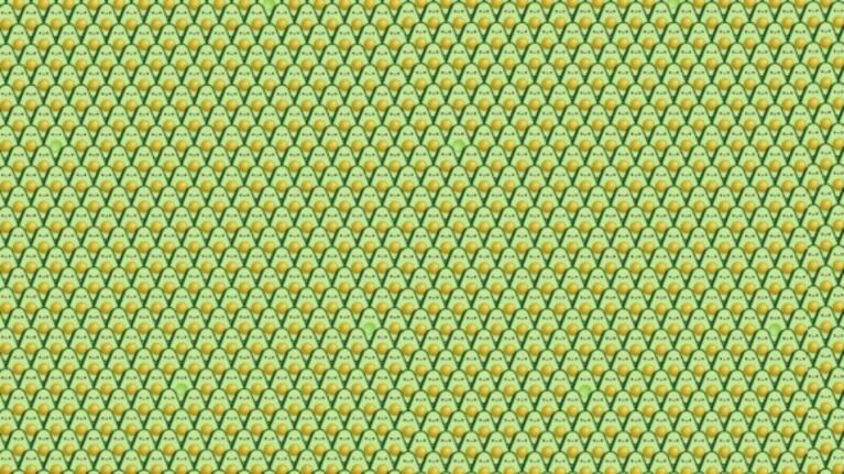 Solo para expertos: tenés un minuto para encontrar las ocho paltas sin “semilla”