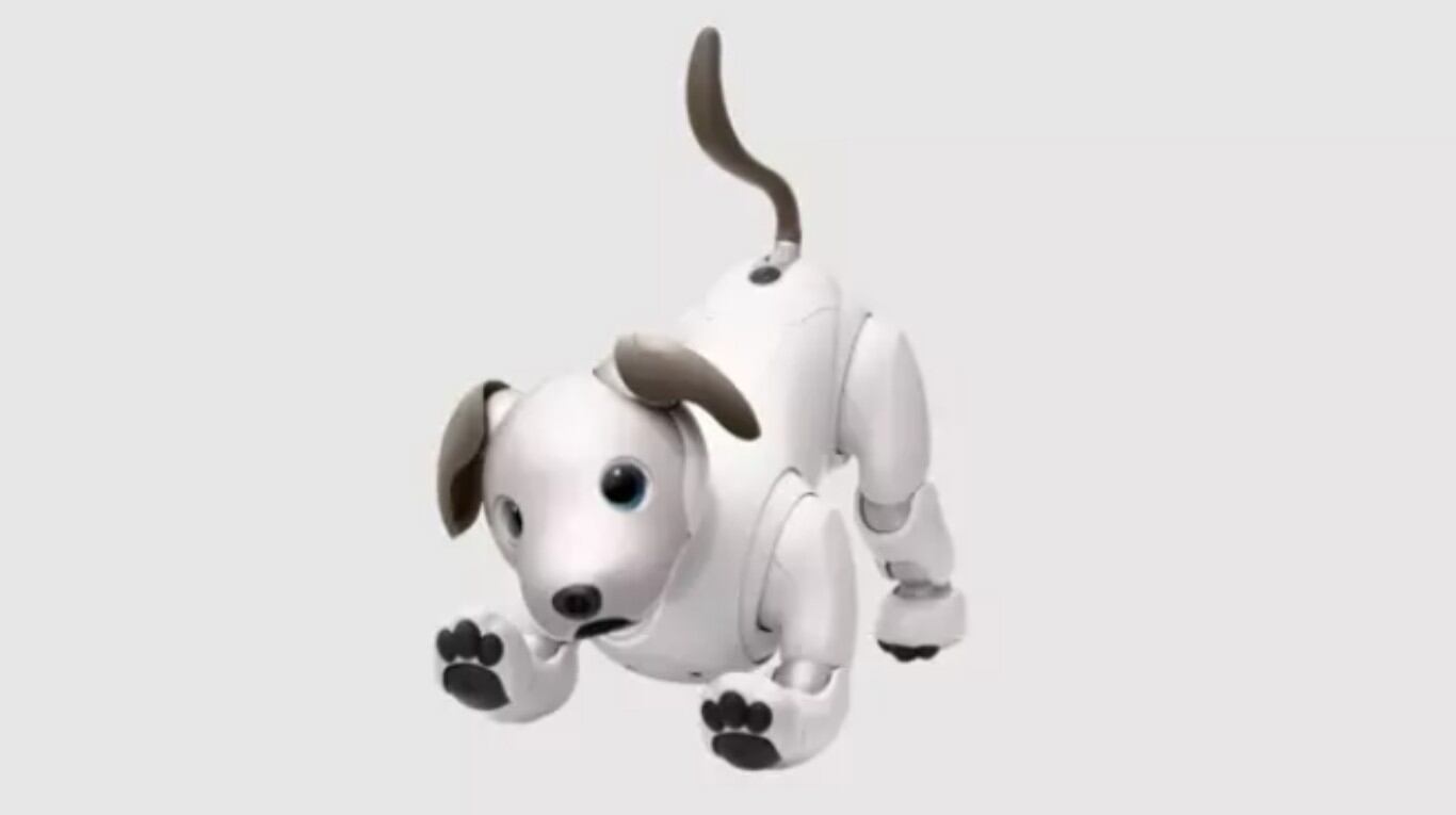 Sony crea un programa para adoptar perros robots Aibo y destinarlos a instituciones médicas