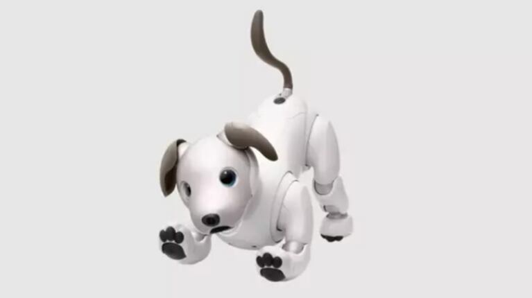 Sony crea un programa para adoptar perros robots Aibo y destinarlos a instituciones médicas