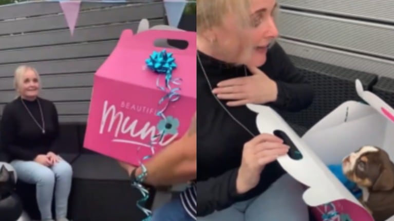 Sorprenden a una mujer regalándole un cachorro en su 50º cumpleaños