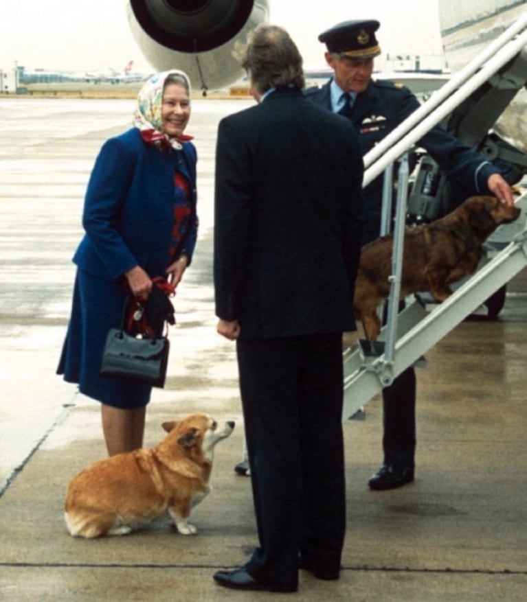 Sorprendentes hechos de la venerada Reina Elizabeth II    