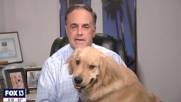¡Sorpresa! Un periodista daba el clima en vivo y de repente apareció su perro.