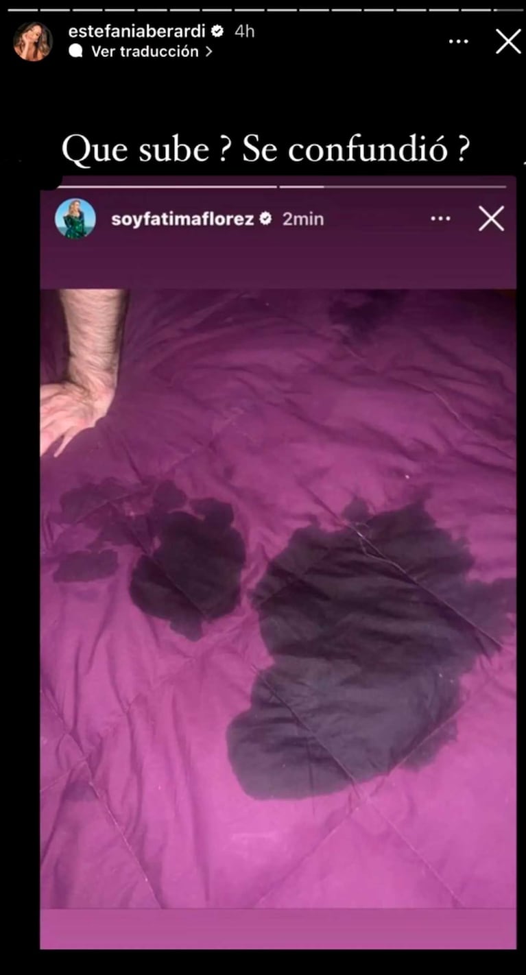 Story de Fátima Florez (Foto: Instagram @soyfatimaflorez)