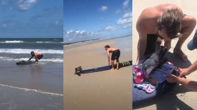 Surfista rescata del océano a un águila pescadora que se había quedado enredada