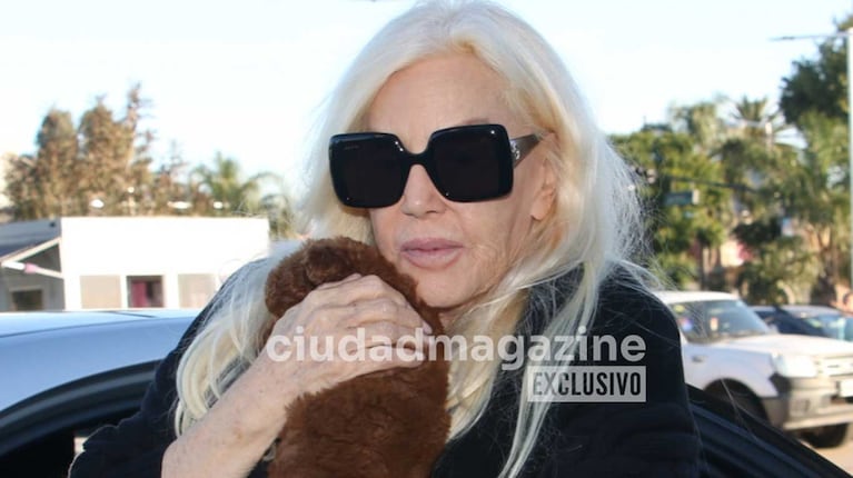 Susana Giménez (Foto: Movilpress)