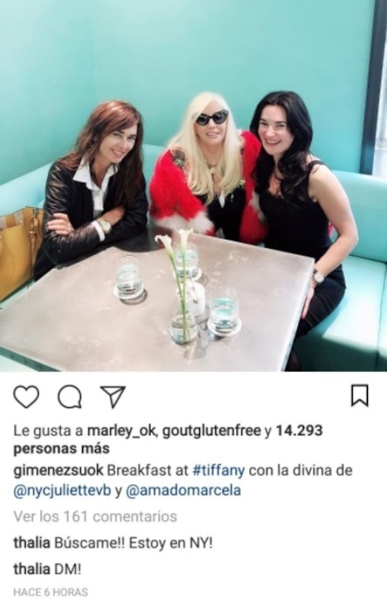 Susana Giménez publicó una foto en Nueva York... ¡y Thalía le pidió verla!: "¡Buscame!"