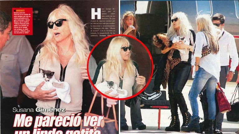 Susana Giménez y Pascual, el gatito que adoptó en Pascuas. Foto: revista Paparazzi.
