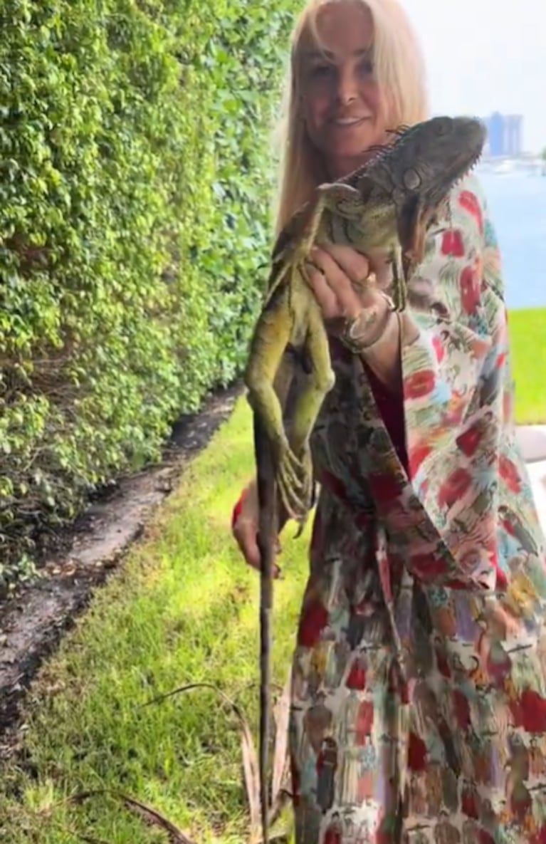 Susana Giménez y su hija encontraron una iguana en el jardín: su escatológica reacción