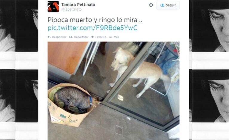 Tamara Pettinato y una publicación polémica (Foto: Twitter)