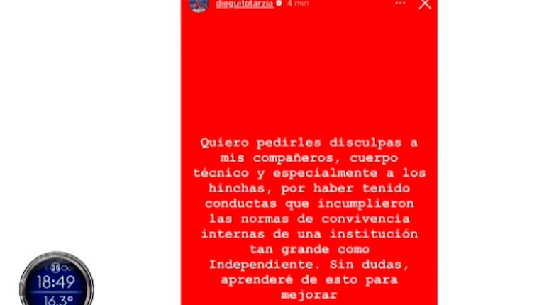 Tarzia también se disculpó en Instagram. Foto: captura TN