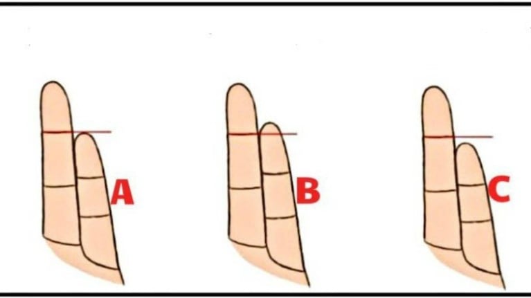 Test: la longitud de tus dedos puede revelar los problemas de tu vida. Foto: Lettoquotidiano.