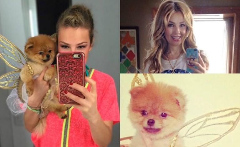 Thalia y Amorcita Love, su perrita pomeriana a la que vistió de hada. (Foto: Instagram)