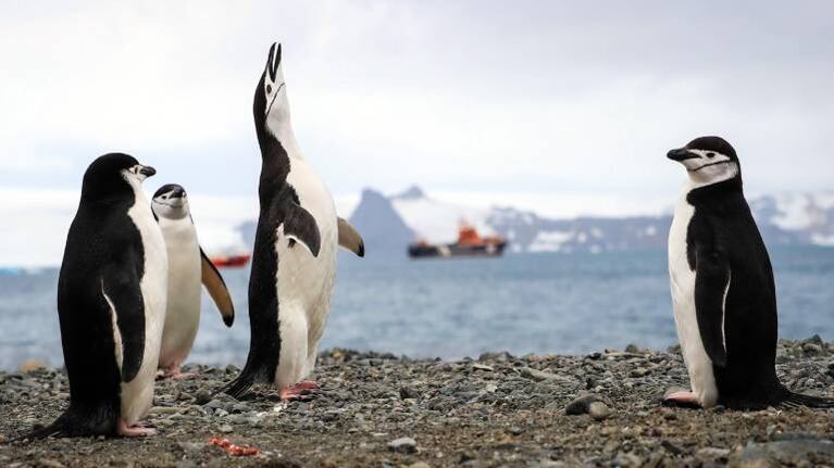 Tierra del Fuego lleva 28 días sin coronavirus y aprobará el turismo interno