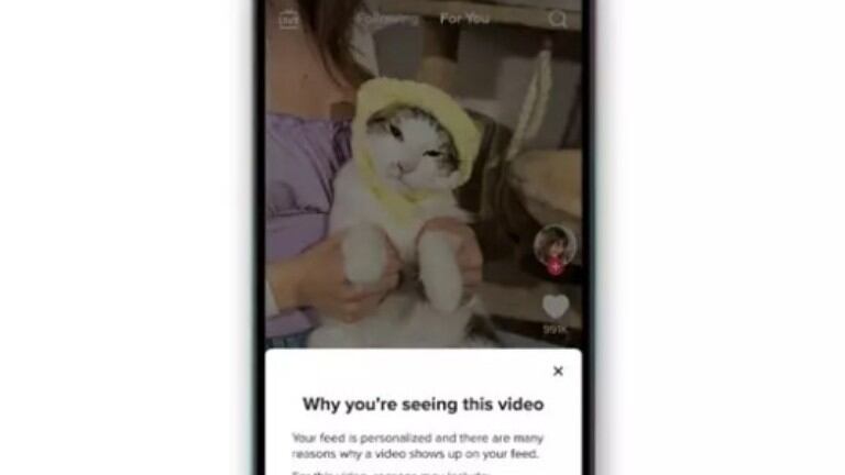 TikTok añade un apartado que recoge las razones por las que recomienda contenidos en el feed Para ti