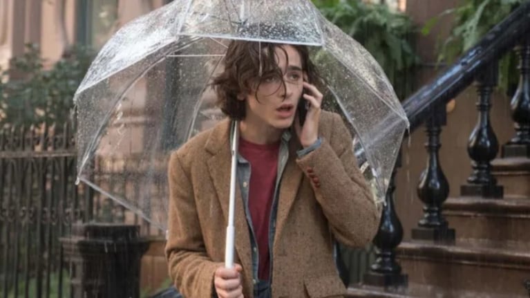 Timothée Chalamet es Gatsby Welles en la comedia romántica disponible en Netflix.