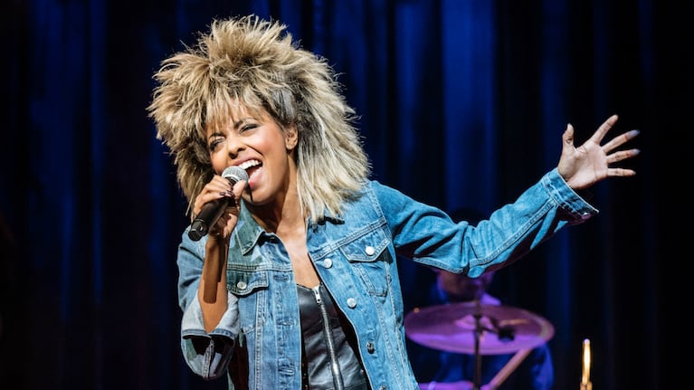 Tina Turner se fue de la escena musical, pero unos años más tarde regresó