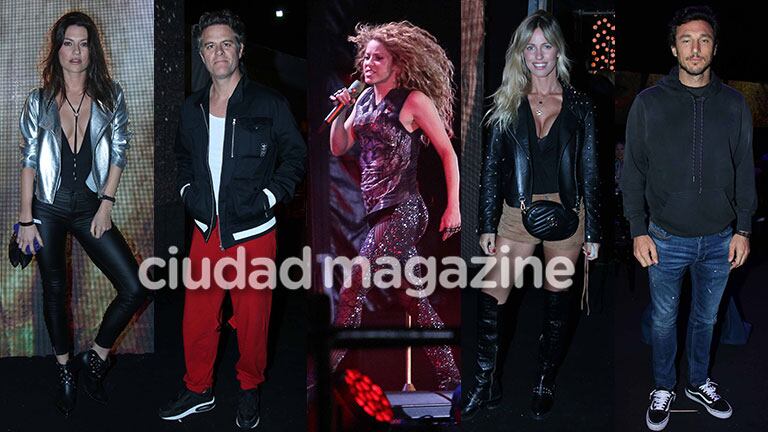 Todos los famosos que fueron al mega recital de Shakira  (Fotos: Movilpress).