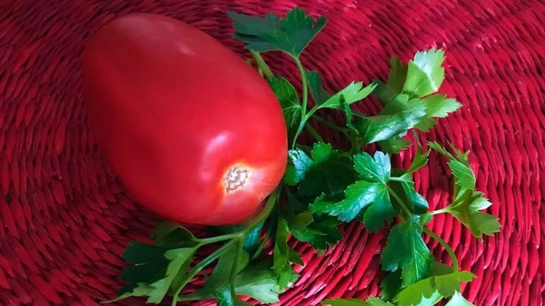 Tomate y Perejil. Crédito: Instagram