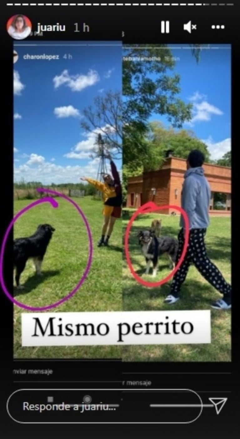 Tras los rumores, Esteban Lamothe confirmó su romance con la humorista Charo López