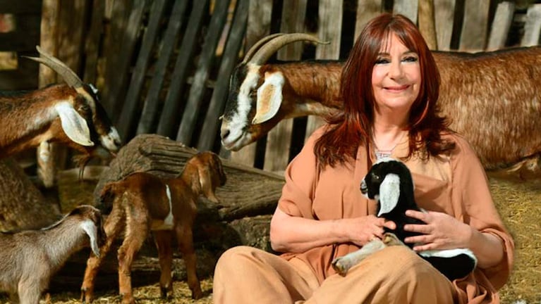 Tres signos del horóscopo chino vivirán nuevas experiencias en el amor, según Ludovica Squirru