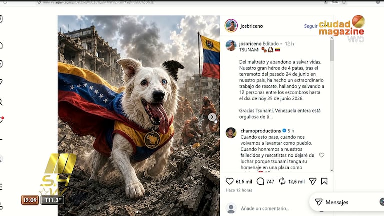 Tsunami, el perro rescatista que se sumó a las ayudas por la tragedia de Venezuela (Foto: captura de Mshow).