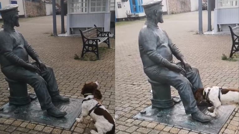 Un cachorro intenta jugar con una ¡estatua!