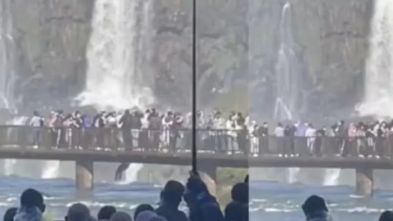 Un hombre se tiró a las Cataratas del Iguazú para recuperar su celular: la decisión que tomó el parque. CRÉDITO: Captura.