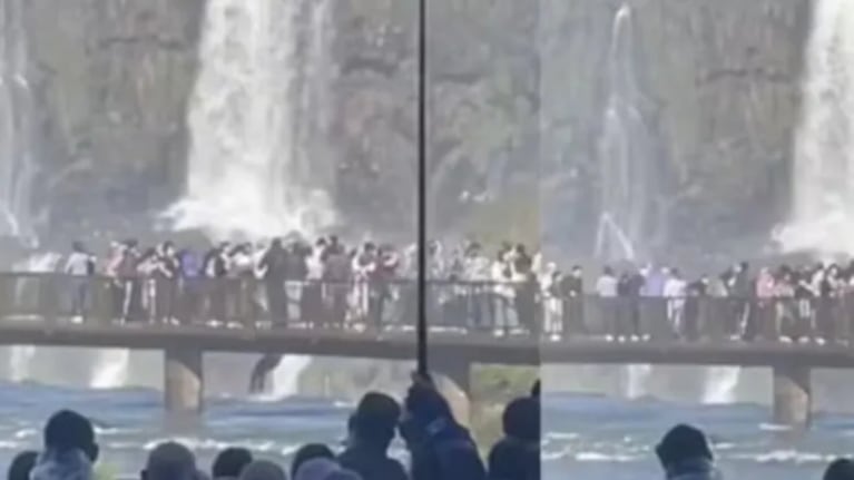 Un hombre se tiró a las Cataratas del Iguazú para recuperar su celular: la decisión que tomó el parque. CRÉDITO: Captura.