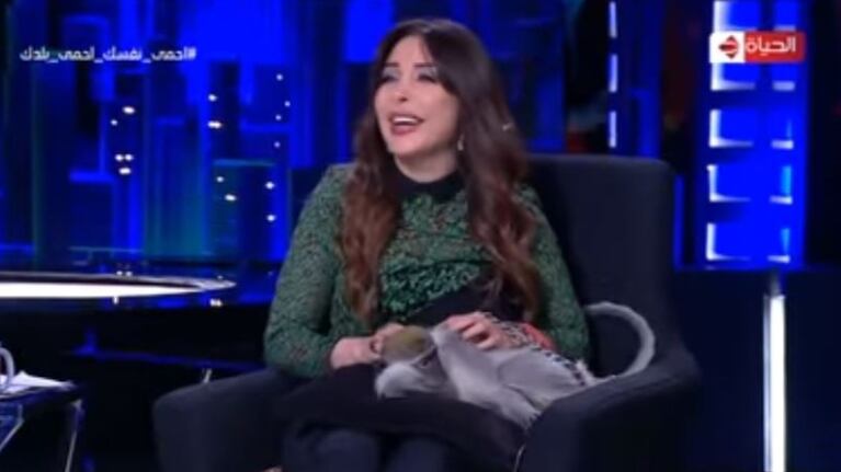 Un mono ataca a una presentadora de televisión en vivo.