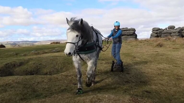 ¿Un monopatín tirado por un caballo?