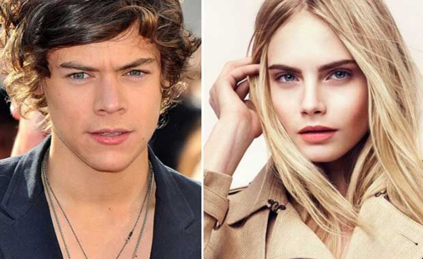 Un One Direction enamorado: Harry Styles estaría saliendo con Cara Delevingne. (Foto: Web)