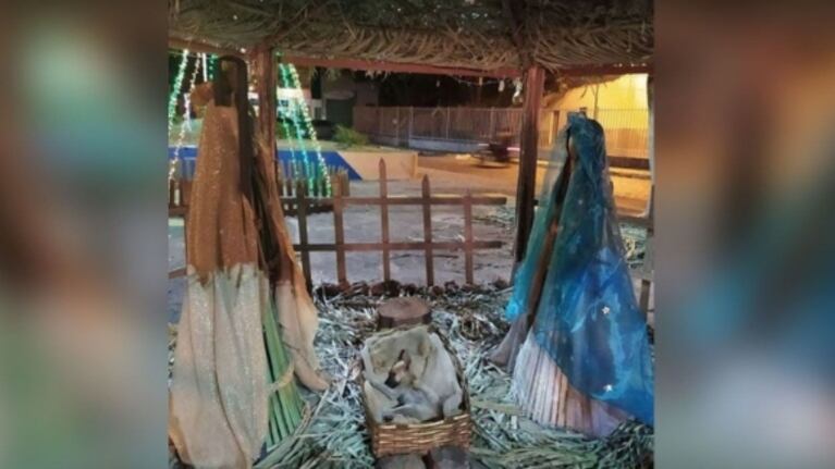 Un perro callejero durmiendo en un pesebre inspira una cadena de solidaridad entre los vecinos
