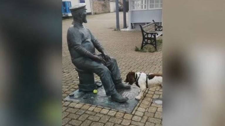 Un perro intenta jugar a la pelota con una estatua y enamora