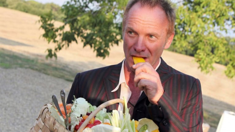 ¡Un vivo bárbaro! Para trabajar en la finca de Sting juntando uvas hay que pagarle 262 euros. (Foto: Web)