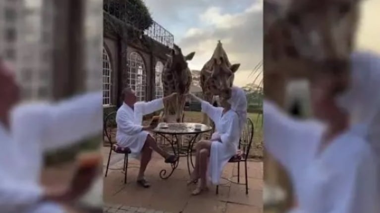 Una bloguera rusa se quedó impactada cuando una jirafa le agredió mientras desayunaba en un hotel en Nairobi