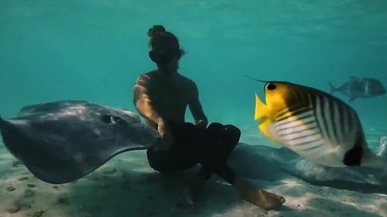 Una buceadora profesional captó las increíbles imágenes de una manta raya jugando con ella bajo el mar