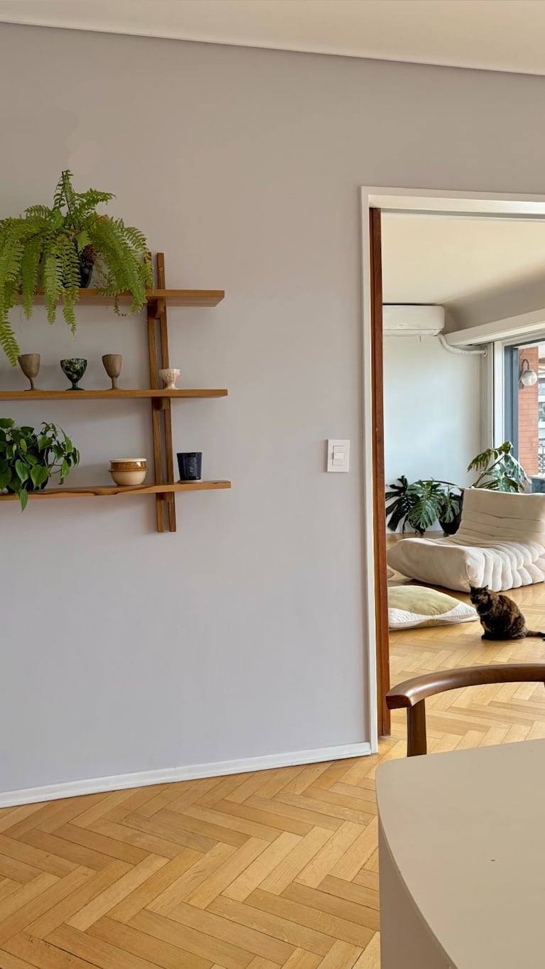  Una estantería de madera con plantas y objetos decorativos, con el living y la gata de fondo, resume el estilo cálido de la casa.
Fuente: Instagram @deboranishimoto