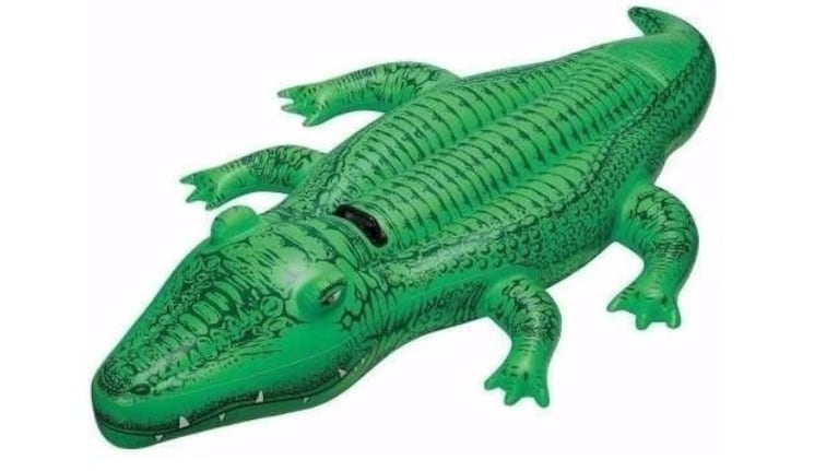 Una familia encuentra un cocodrilo en una pileta “relajándose” arriba de un reptil inflable