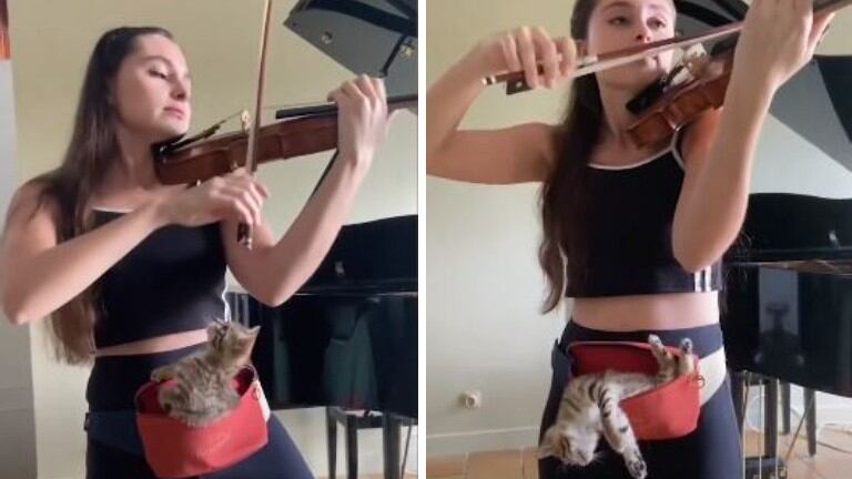 Una joven practica tocando el violín mientras pasea a una gata
