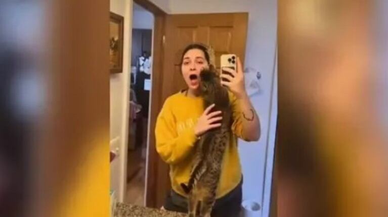 Una mujer captó el momento en que su gato le dio un abrazo justo después de decir que lo necesitaba
