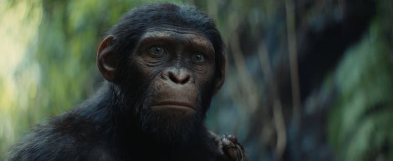 Uno por uno, quiénes son los personajes de El Planeta de los Simios: Nuevo Reino