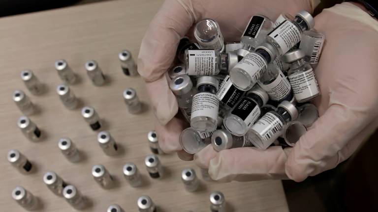 Vacunas contra el coronavirus en Argentina: Esta semana llegarán más de un millón de dosis