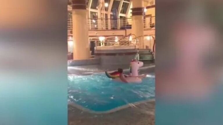 Van en crucero, el oleaje mueve el barco... y esta mujer aprovecha para darse un chapuzón 