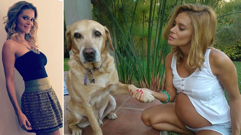 Vanina Escudero despidió a Domi, su labrador. (Foto: Instagram)
