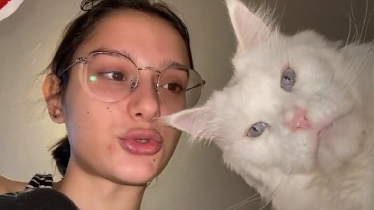 Vanya, el gato que se parece a Thanos, el villano de Los Vengadores