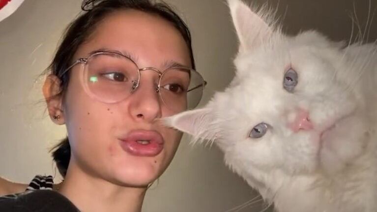 Vanya, el gato que se parece a Thanos, el villano de Los Vengadores