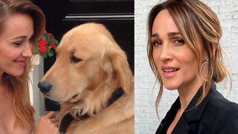 Verónica Lozano se despidió de su perro con un desgarrador mensaje.
