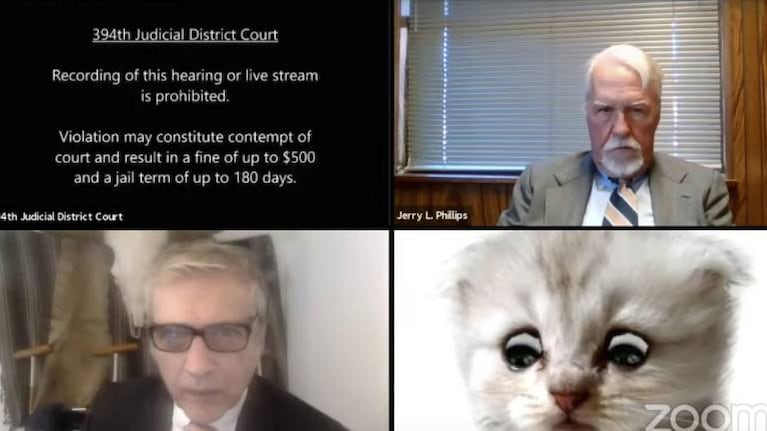 Video: abogado no logra quitar filtro que lo hace ver como felino en audiencia virtual