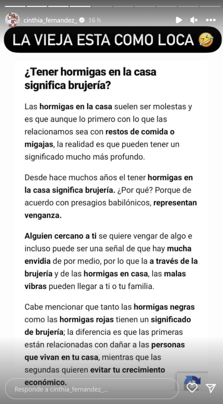 Video: Cinthia Fernández se le llenó de hormigas el local y acusó “magia negra”